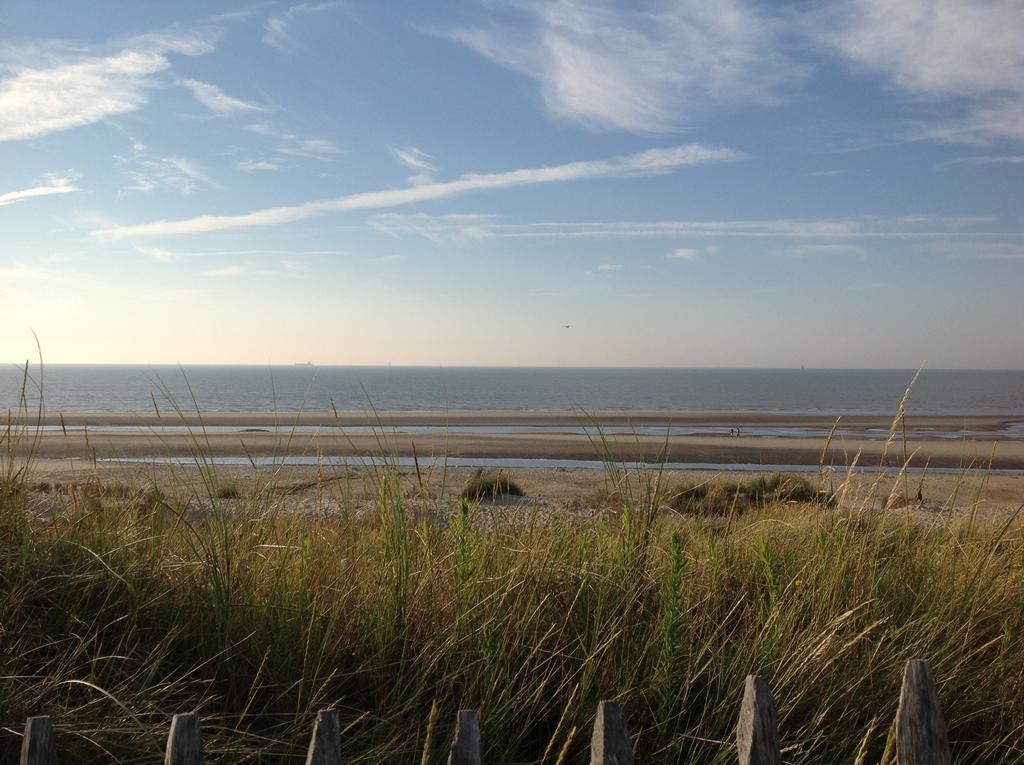 Kokkelikoo Bed & Breakfast Blankenberge Exterior photo